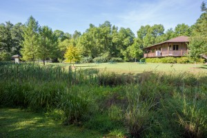 Reed Creek Park in Columbia County   Martinez GA 0121